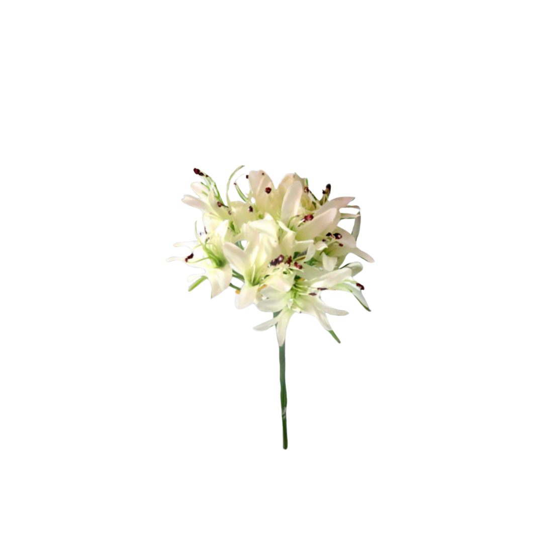 Agapanthus African White Artificial Flower
Key Features:
Height: 79cm
Color: White
Artificial flower
Benefits:
Timeless Beauty: The flower maintains its elegance over time.
Low-Maintenance: No watering or care required.
Versatile Styling: Suitable for various arrangements and decor.
Usage Ideas:
Wedding decor
Floral arrangements
Home decor
Garden inspiration
Shopping Details:
Delivery: 5-7 working days
Store: Unique Boys
This product offers an elegant, hassle-free solution for various decorative nee