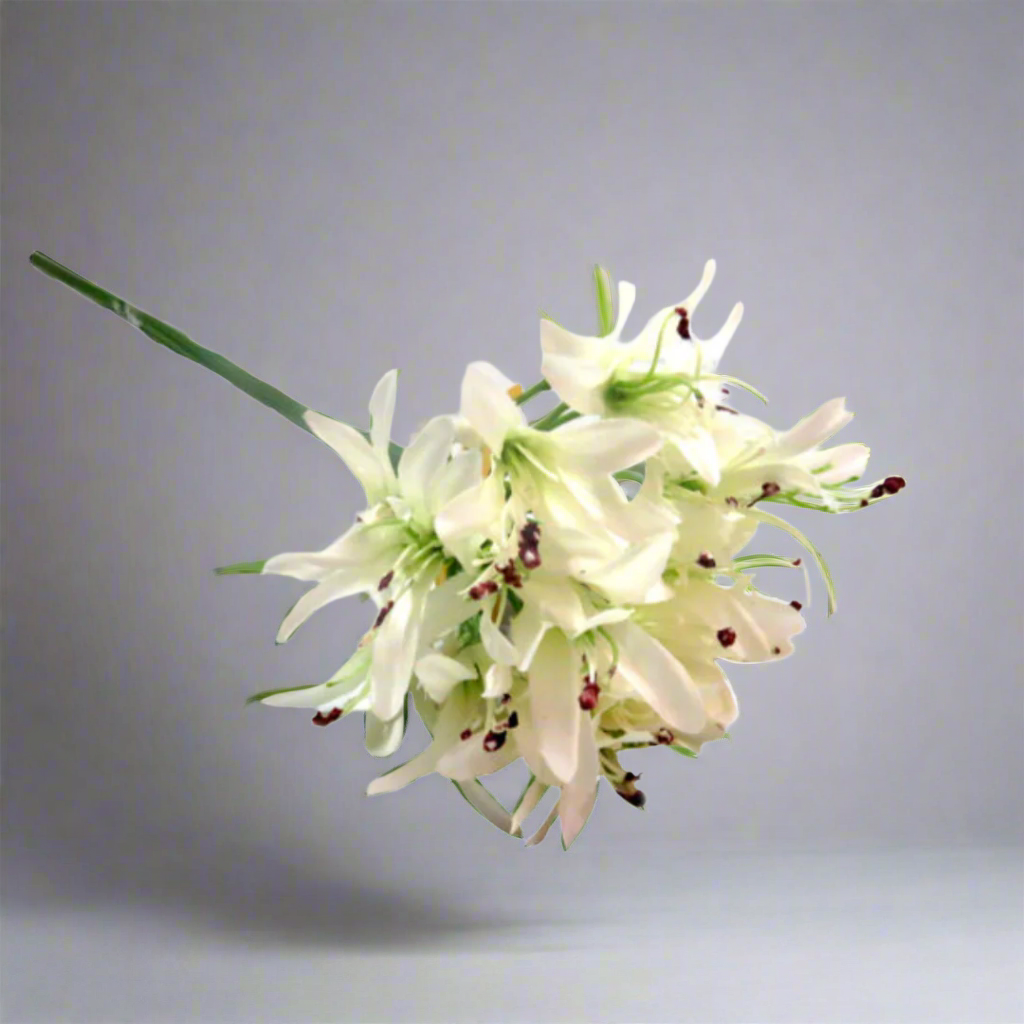 Agapanthus African White Artificial Flower
Key Features:
Height: 79cm
Color: White
Artificial flower
Benefits:
Timeless Beauty: The flower maintains its elegance over time.
Low-Maintenance: No watering or care required.
Versatile Styling: Suitable for various arrangements and decor.
Usage Ideas:
Wedding decor
Floral arrangements
Home decor
Garden inspiration
Shopping Details:
Delivery: 5-7 working days
Store: Unique Boys
This product offers an elegant, hassle-free solution for various decorative nee