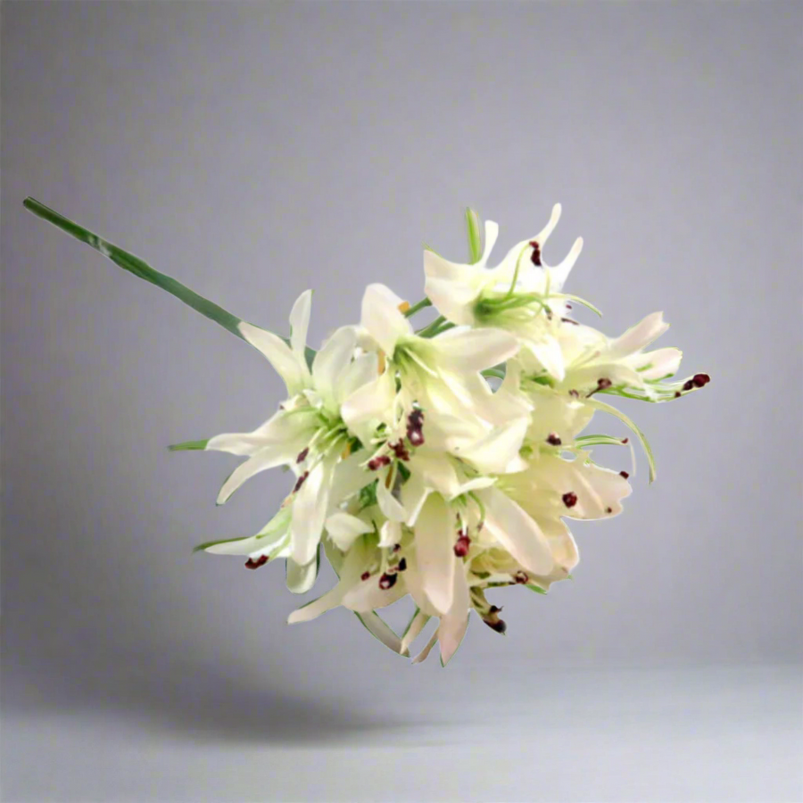 Agapanthus African White Artificial Flower
Key Features:
Height: 79cm
Color: White
Artificial flower
Benefits:
Timeless Beauty: The flower maintains its elegance over time.
Low-Maintenance: No watering or care required.
Versatile Styling: Suitable for various arrangements and decor.
Usage Ideas:
Wedding decor
Floral arrangements
Home decor
Garden inspiration
Shopping Details:
Delivery: 5-7 working days
Store: Unique Boys
This product offers an elegant, hassle-free solution for various decorative nee