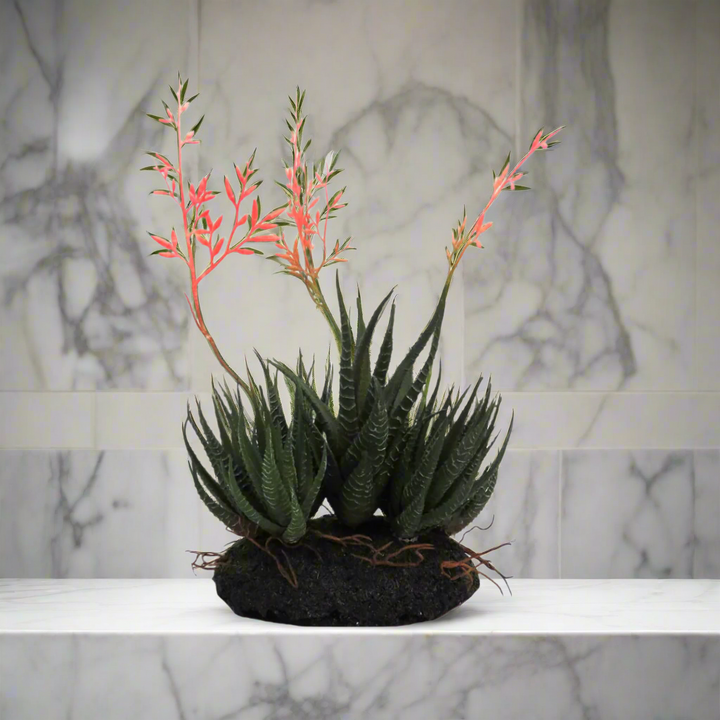 Aloe Community: Stunning Artificial Arrangement
Elevate your space with the breathtaking Aloe Community, a meticulously crafted artificial arrangement featuring:
7 exquisite aloe plants, with 3 flowering stems
Moss-covered decorative base showcasing aloe roots
Natural, lifelike beauty that's maintenance-free
Product Details:
Size: 29cmH x 16cmW
Material: High-quality artificial plants and materials
Color: Realistic, earthy tones
Perfect for:
Indoor decor: living room, office, or bedroom
Outdoor spaces: pati