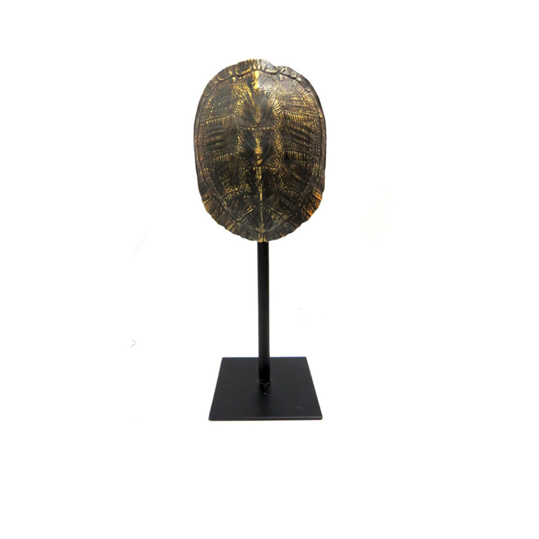 Apollo: Elegant Tortoise Shell Decor
Elevate your home with the exquisite Apollo, expertly crafted with a stunning tortoise shell design.
Product Features:
Double-sided design for versatile display
Polished look from all angles
Perfect size for any space: 16cm x 12cm x 39cm