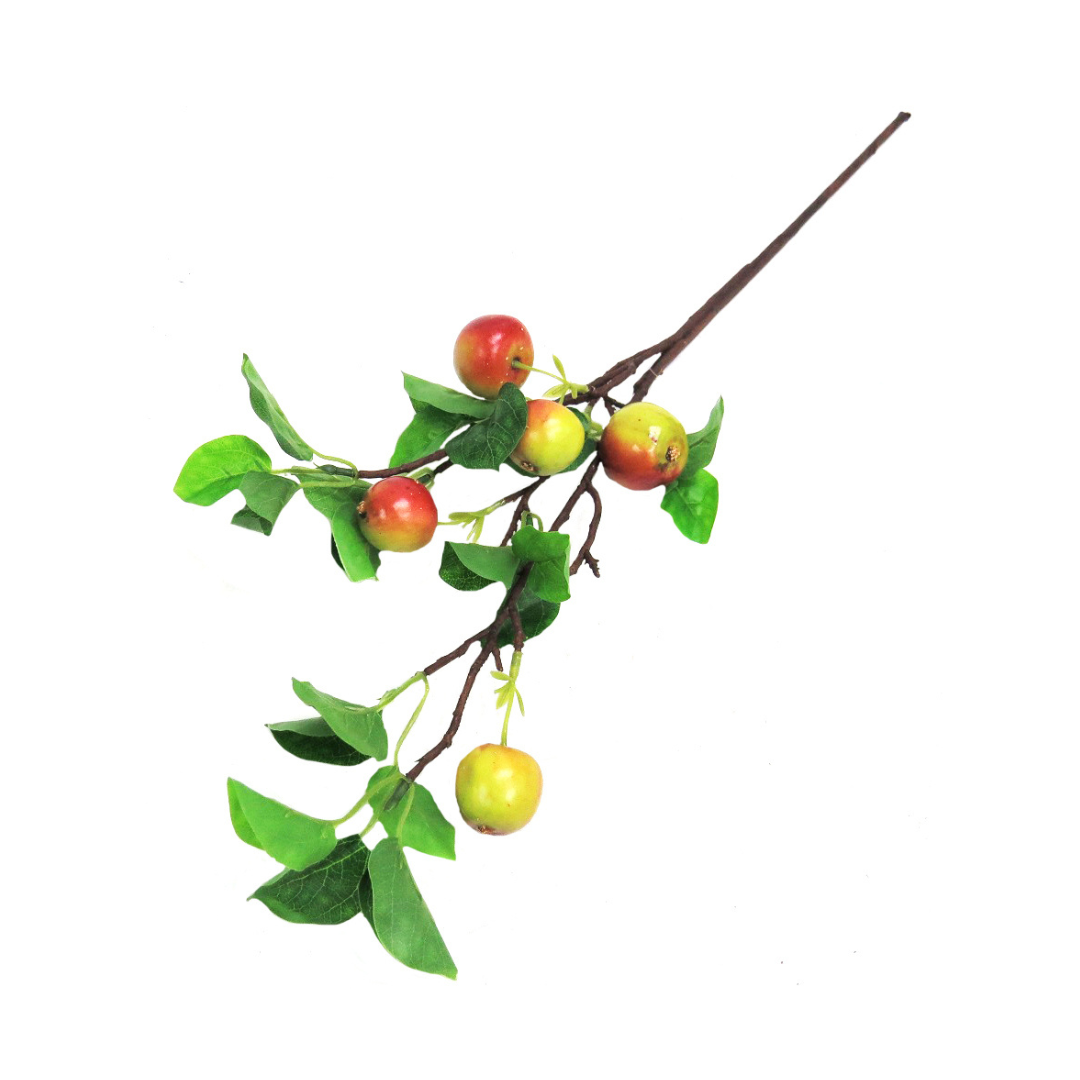 pple Branch Eve
Elevate your space with this stunning decorative piece, showcasing 5 gorgeous rosy apples atop a meticulously crafted stem, accompanied by lush leaves.
Product Details:
Size: 69cm Length
Material: High-quality artificial materials for long-lasting beauty
Color: Rosy apples with lush green leaves
Type: Artificial Floral Arrangement
Exclusive at Unique Boys
Get ready to transform your home or office into a stylish sanctuary with this beautiful, low-maintenance decorative piece!