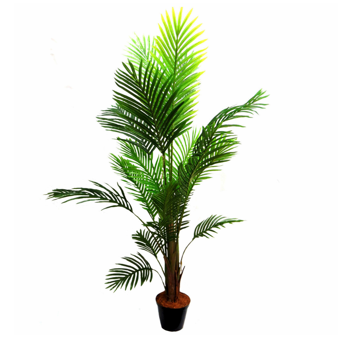 Areca Palm 7
Bring tropical elegance to your space with the stunning Areca Palm 7, expertly crafted as a high-quality artificial plant.
Product Details:
Height: 160cm
Material: Premium artificial materials for long-lasting beauty
Type: Artificial Areca Palm Plant
Low-Maintenance Luxury
Enjoy the natural beauty of this Areca 