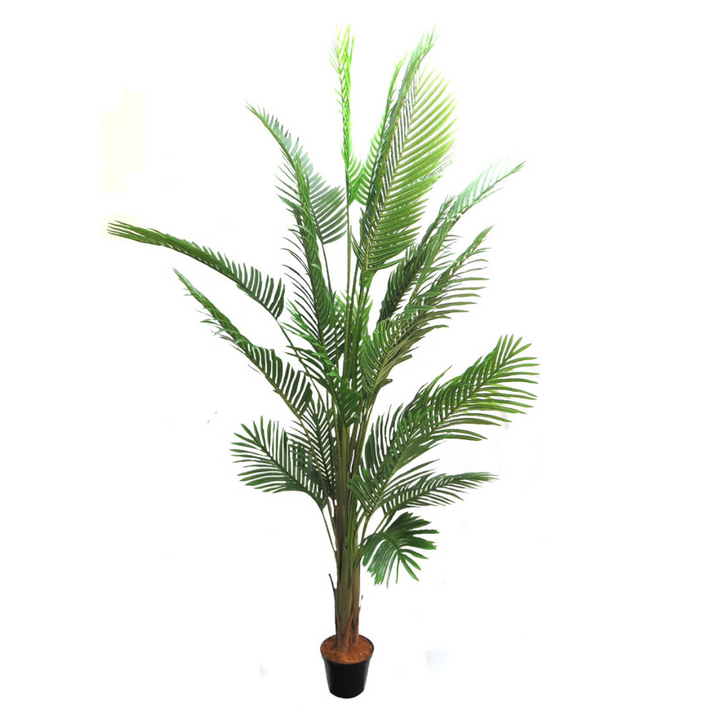 Areca Palm 9
Create a stunning oasis with the majestic Areca Palm 9, expertly crafted as a high-quality artificial plant.
Product Details:
Height: 210cm
Material: Premium artificial materials for long-lasting beauty
Type: Artificial Areca Palm Plant
Low-Maintenance Luxury