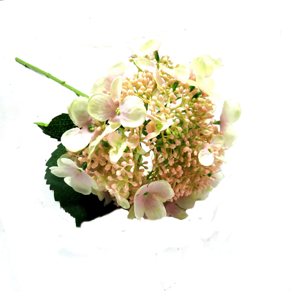 Introducing Hydrangea Bridal Beauty, the perfect choice for bridal work. This "paniculata" type features 54cml of real touch open flowers, surrounded by half-opened and tightly closed buds. Delicate in form and color, this hydrangea boasts a beautiful touch of soft pink. Its glorious color and form make it a truly gorgeous addition to any arrangement-unique interiors