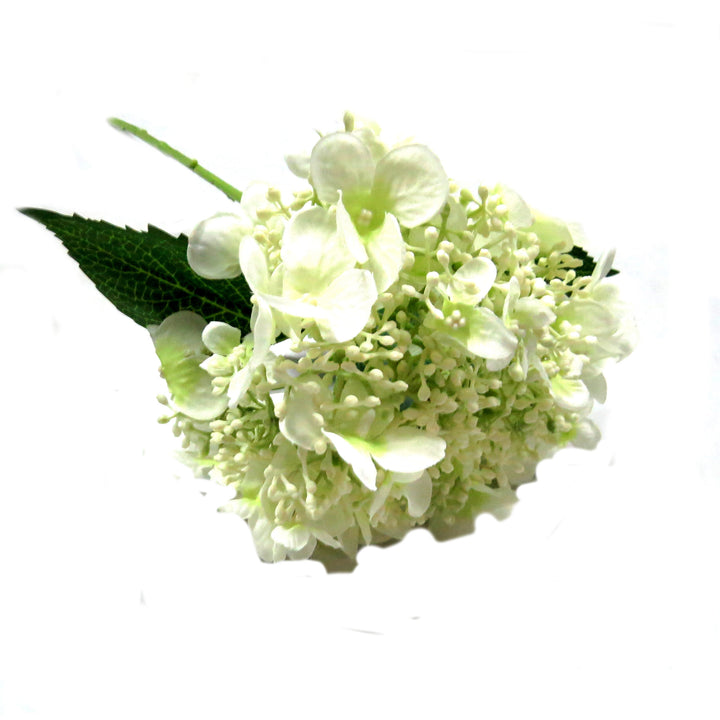 Hydrangea Quercifolia Bridal by Unique Boys
Experience the breathtaking beauty of our Hydrangea Quercifolia Bridal artificial flowers, expertly crafted to capture the elegance of real blooms.
Breathtaking Details