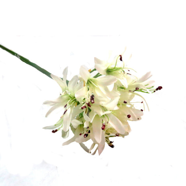 Agapanthus African White Artificial Flower
Key Features:
Height: 79cm
Color: White
Artificial flower
Benefits:
Timeless Beauty: The flower maintains its elegance over time.
Low-Maintenance: No watering or care required.
Versatile Styling: Suitable for various arrangements and decor.
Usage Ideas:
Wedding decor
Floral arrangements
Home decor
Garden inspiration
Shopping Details:
Delivery: 5-7 working days
Store: Unique Boys
This product offers an elegant, hassle-free solution for various decorative nee