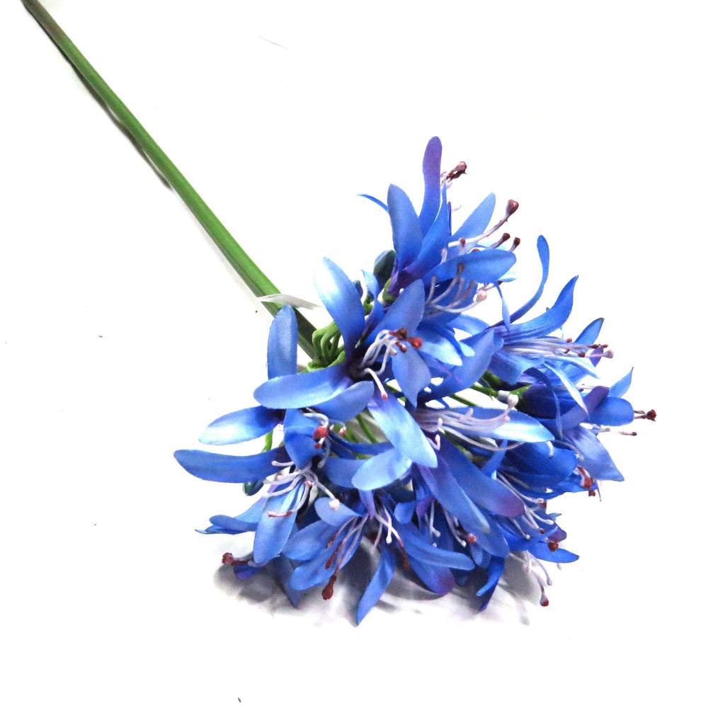 Discover the beauty and perfection of Agapanthus African Blue! This stunning flower boasts a generous head and comes in a dreamy blue color. With a height of 79cm, it's guaranteed to be a standout addition to any garden or floral arrangement. Add this perfect and flawless flower to your collection today-UNIQUE INTERIORS