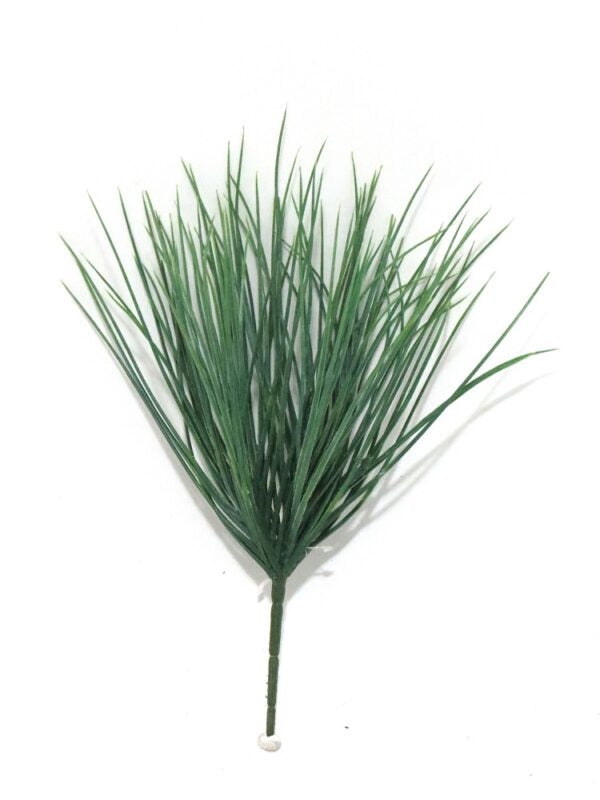 As a trusted industry expert, I present to you the Dassiebush - a 35cml grass plant with a full and lush appearance. Perfect for adding a touch of green to any space, it boasts a great texture and is sure to please with its lovely color-UNIQUE INTERIORS