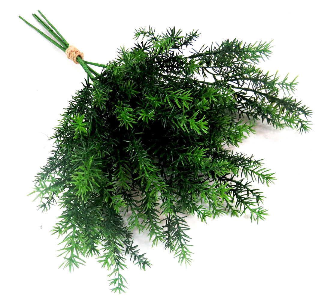 The Asparagus Fern Bunch