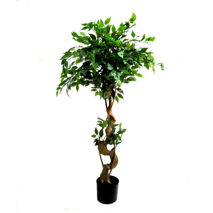 Experience the beauty of nature with our Ficus Tree. Standing at 120 cm, this tree boasts 806 glossy, well-shaped, and veined leaves that can be easily shaped according to your preference. The unique aerial roots add extra interest and the sculptural trunk makes it a true statement piece-UNIQUE INTERIORS