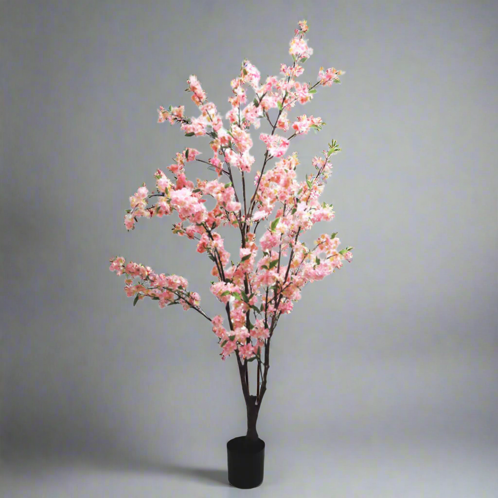 Blossom Tree - Elegant Elegance from Unique Boys
Bring Timeless Charm to Your Space
Discover the breathtaking beauty of our Blossom Tree, standing tall at 165cm. This stunning artificial tree boasts multiple stems adorned with delicate pink-shaded blossoms, perfect for adding elegance to any setting.