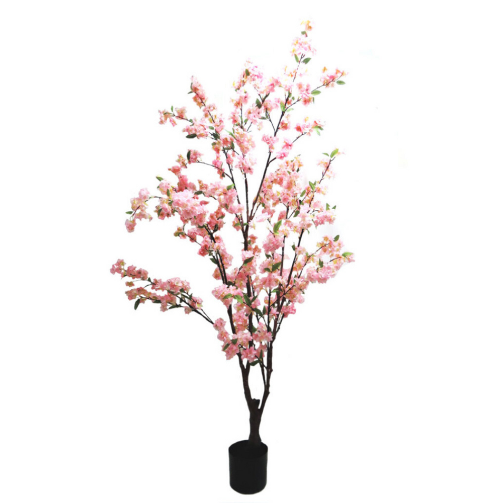 Blossom Tree - Elegant Elegance from Unique Boys
Bring Timeless Charm to Your Space
Discover the breathtaking beauty of our Blossom Tree, standing tall at 165cm. This stunning artificial tree boasts multiple stems adorned with delicate pink-shaded blossoms, perfect for adding elegance to any setting.