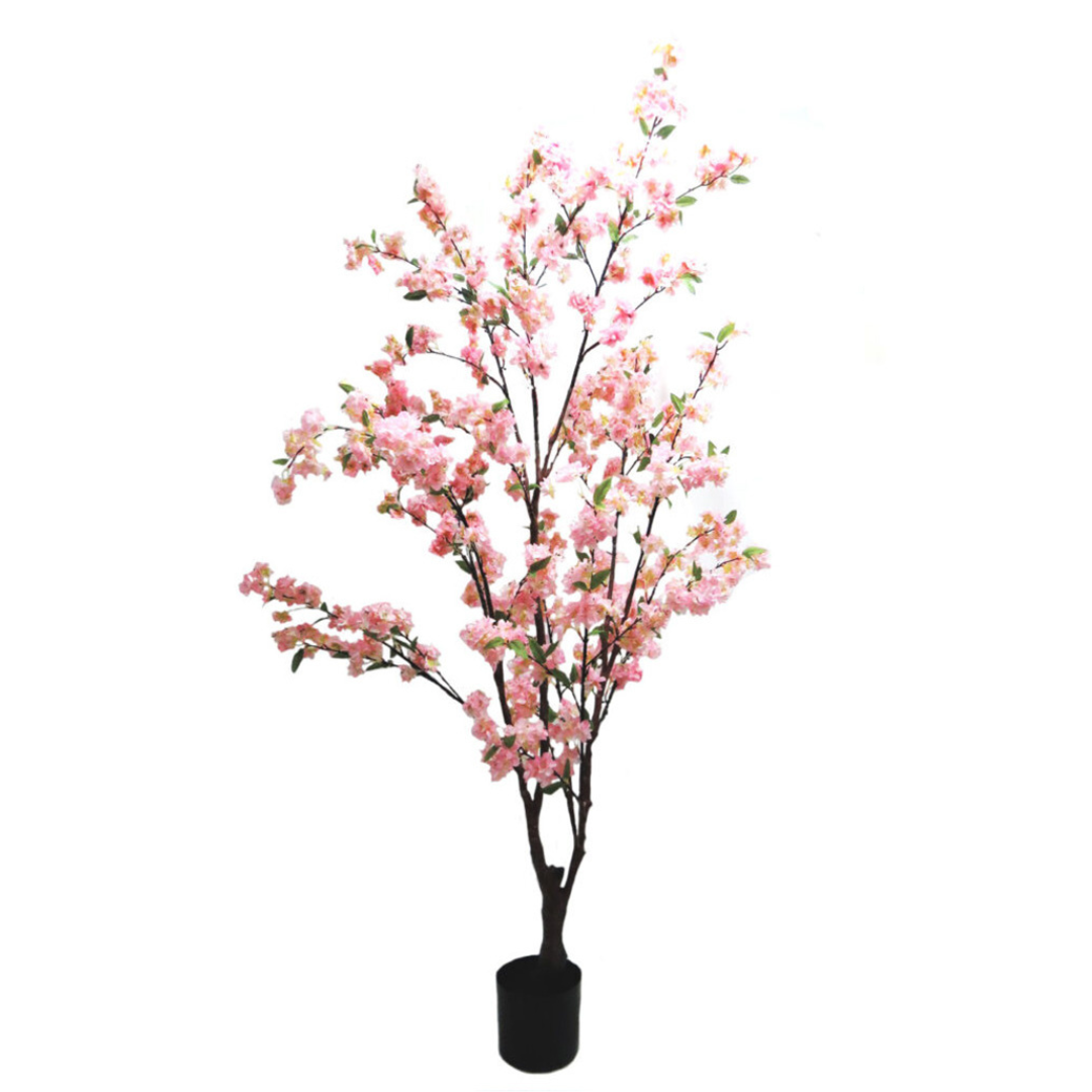 Blossom Tree - Elegant Elegance from Unique Boys
Bring Timeless Charm to Your Space
Discover the breathtaking beauty of our Blossom Tree, standing tall at 165cm. This stunning artificial tree boasts multiple stems adorned with delicate pink-shaded blossoms, perfect for adding elegance to any setting.