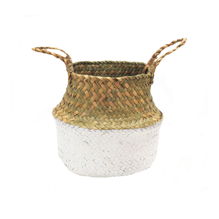 Bona Basket - Natural Elegance from Unique Boys
Elevate Your Plant Game
Discover the Bona Basket, a stunning natural seagrass planter expertly crafted for style and functionality. This gorgeous, collapsible basket features a beautiful white finish and twined natural handles, perfect for showcasing your favorite plants.