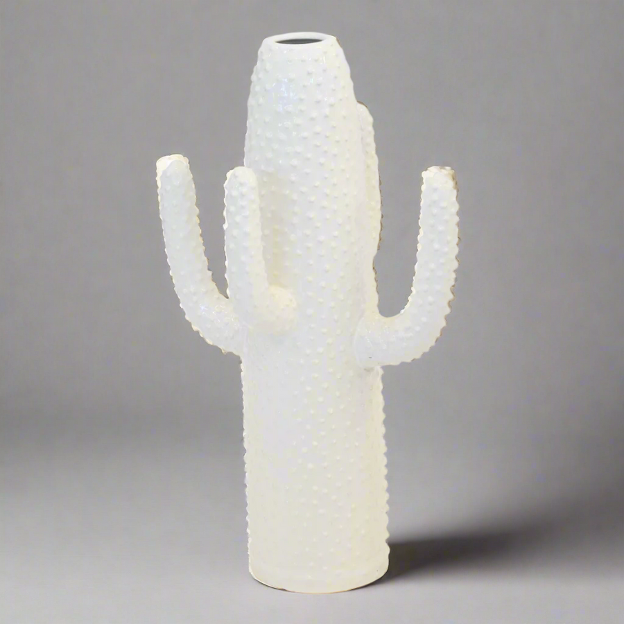 Ceramic cactus vase white large

Size

50CM (H) X 30CM (W)

Ceramic porcelain decor&nbsp;


Unique Boys

This Ceramic Cactus Vase is presented in a pristine white--the perfect choice for adding a touch of unique style to your interiors. It measures 50 cm (H) x 30 cm (W) and is crafted from high-quality ceramic porcelain.

Delivery


5 to 7 days