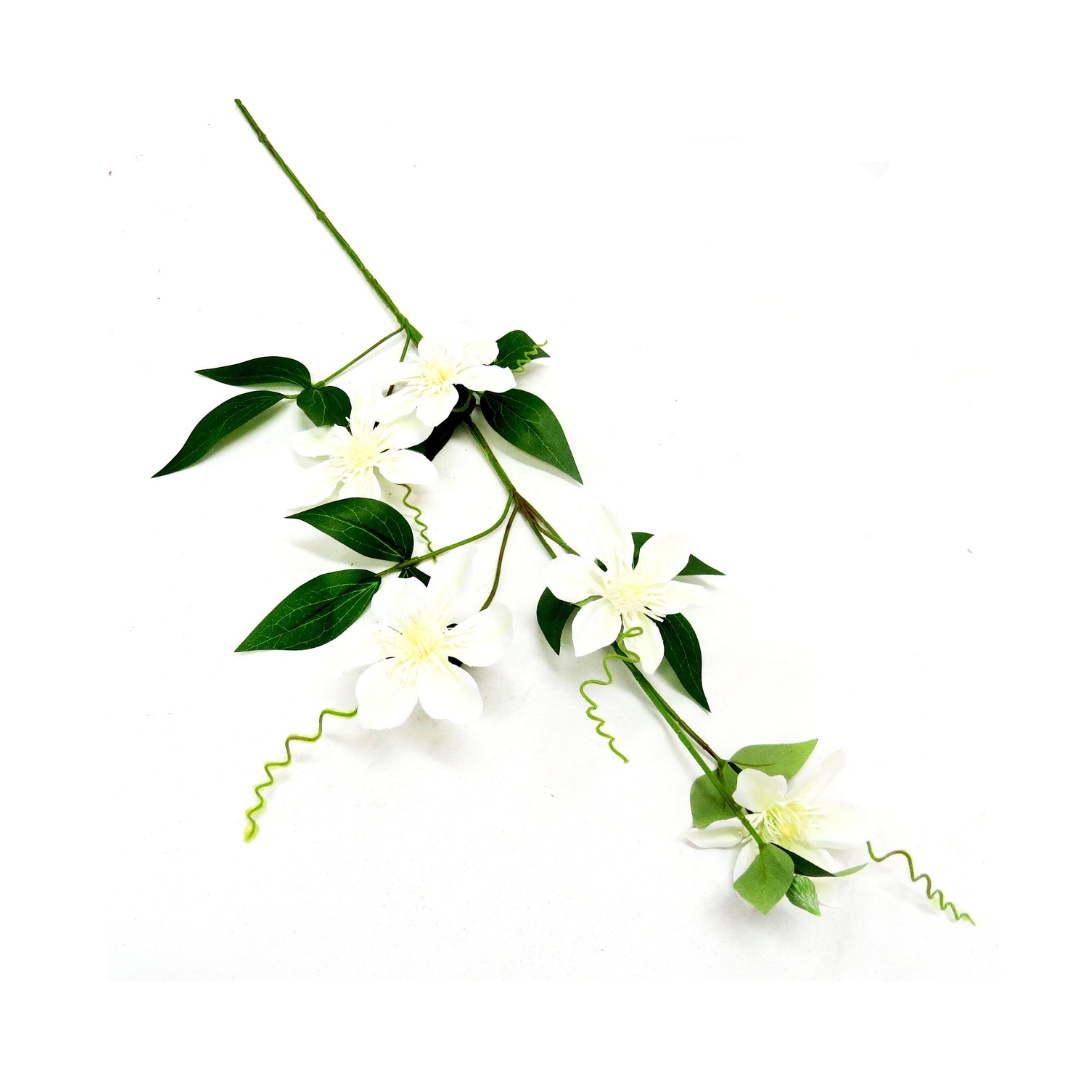 Unique Boys
Clematis Passionata
Exquisite Artificial Vine
Elevate your décor with the breathtaking Clematis Passionata. This stunning artificial vine boasts:
Pristine white blooms
Vibrant bright green foliage
Realistic, elegant design