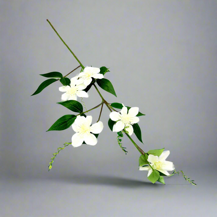 Clematis Passionata
Exquisite Artificial Vine
Elevate your décor with the breathtaking Clematis Passionata. This stunning artificial vine boasts:
Pristine white blooms
Vibrant bright green foliage
Realistic, elegant design