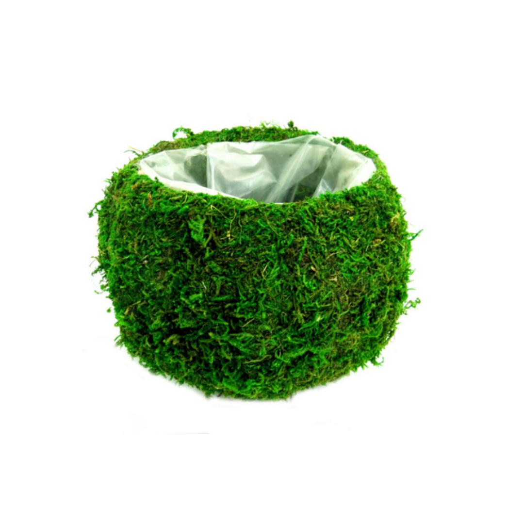 Columbine Ballvase - A Unique Touch for Your Interiors!
Elevate your space with the stylish and versatile Columbine Ballvase!
Waterproof and perfect for indoor use
Rotund shape creates a stunning centerpiece for any room
Generous dimensions: 20cm x 20cm x 14cm
Plenty of space to fill with woven moss or other decorative elements
Add a Touch of Elegance!
Perfect for living rooms, dining rooms, or offices
Unique and stylish design that adds a personal touch
Easy to care for and maintain
Get Yours Today!
Size: 