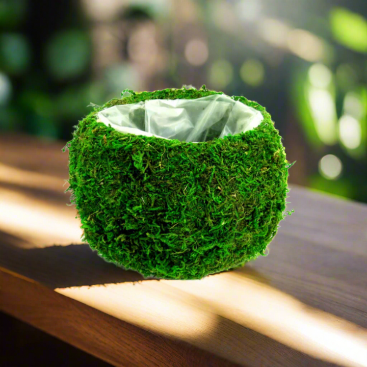 Columbine Ballvase - A Unique Touch for Your Interiors!
Elevate your space with the stylish and versatile Columbine Ballvase!
Waterproof and perfect for indoor use
Rotund shape creates a stunning centerpiece for any room
Generous dimensions: 20cm x 20cm x 14cm
Plenty of space to fill with woven moss or other decorative elements
Add a Touch of Elegance!
Perfect for living rooms, dining rooms, or offices
Unique and stylish design that adds a personal touch
Easy to care for and maintain
Get Yours Today!
Size: 