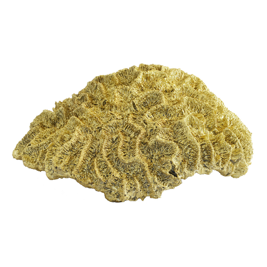 Coral Brain Large Gold
Experience unparalleled luxury with the breathtaking Coral Brain Large Gold, a masterpiece of exceptional craftsmanship and unique design.
Product Features:
Exquisite gold finish exudes sophistication and elegance
One-of-a-kind coral-inspired design adds an artistic touch
Large scale makes a stunning statement in any room
Quality Assurance:
Optimum quality materials ensure durability and longevity
Impeccable craftsmanship guarantees attention to detail

