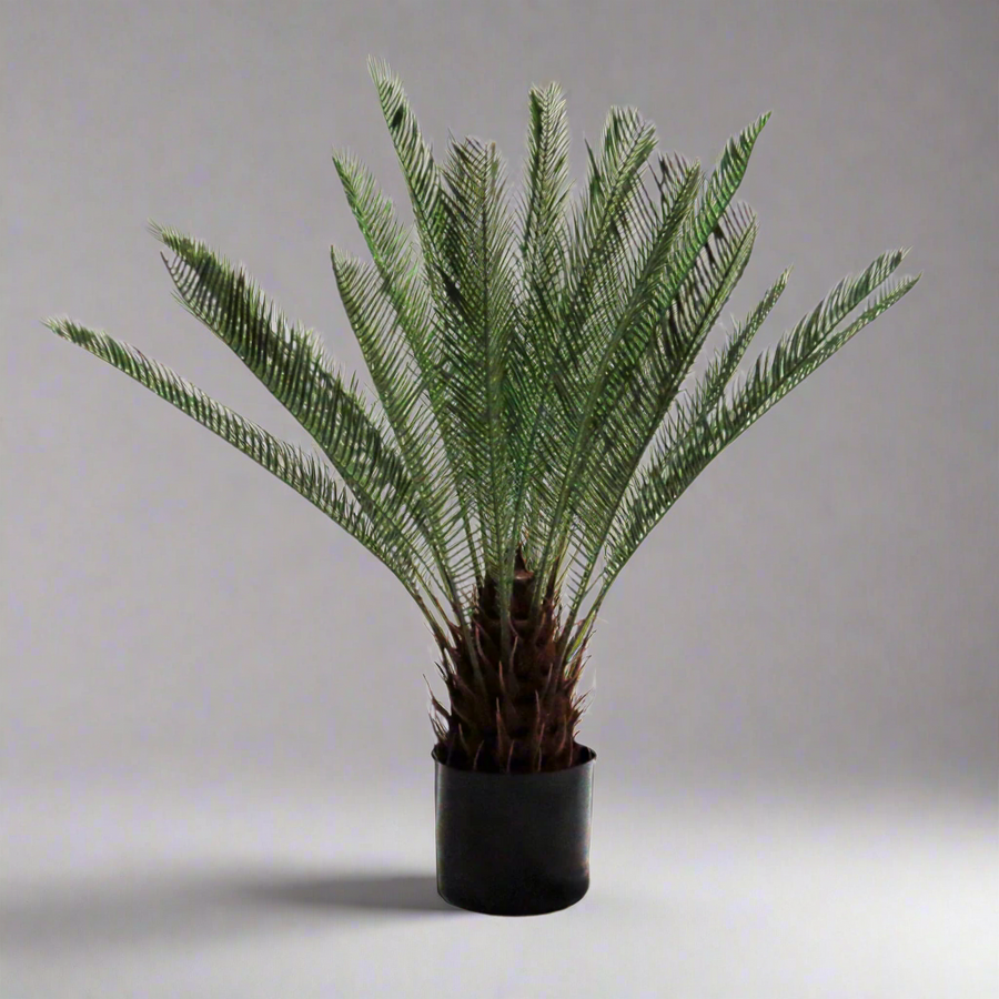 Cycad Artificial Plant - A Touch of Tropical Elegance!
Bring a piece of the tropics into your home or office with our stunning 66cm high Cycad artificial plant! This beautifully crafted piece boasts:
24 expertly constructed and colored leaves, replicating a mature plant
A realistic trunk showcasing previous growth points, adding to its authenticity
A sturdy, weighted pot, ensuring stability and ease of display
Perfect for Any Space.