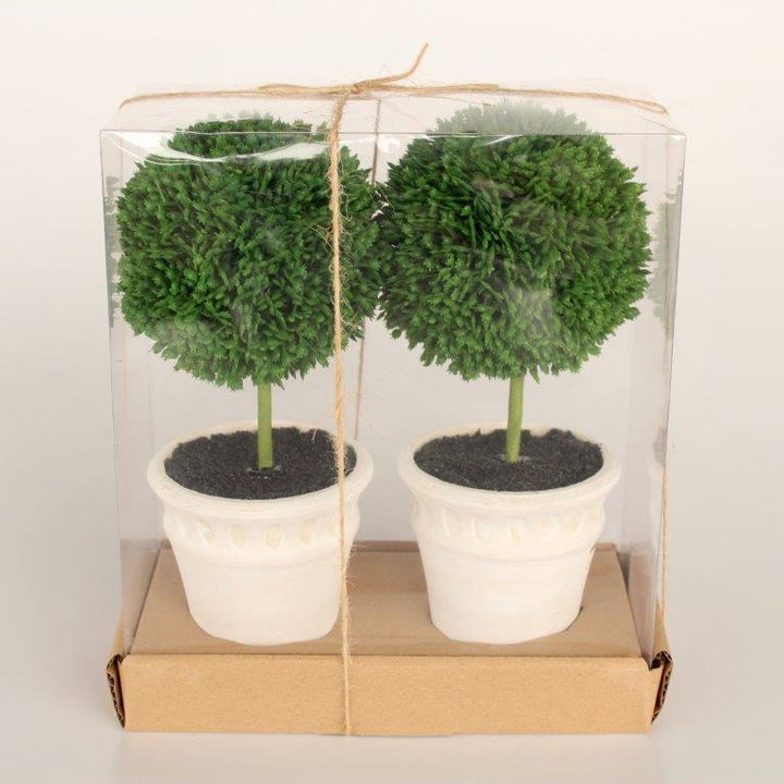 SET OF 2 MINI TOPIARIES 23X10X10