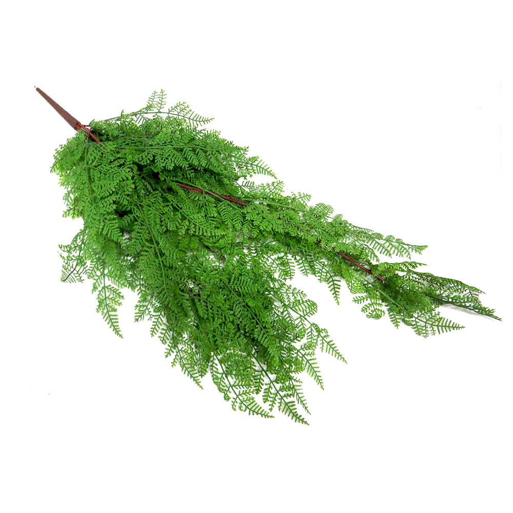 Experience the beauty of nature with the Maiden Heaven Fern. This real touch full maiden hair fern plant adds a touch of elegance to any space. With its cml hanging feature, it's perfect for sprucing up your home or office. Enjoy the benefits of bringing the outdoors in with this stunning addition- unique interiors