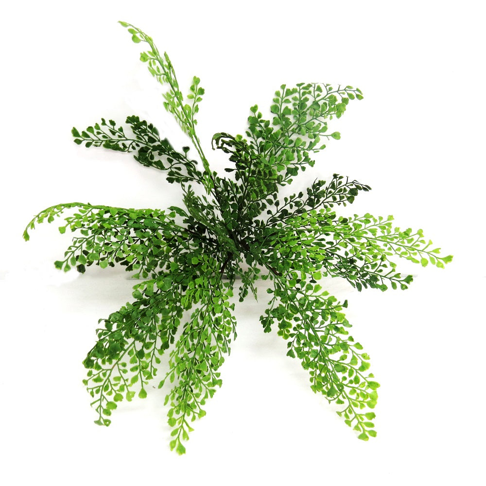 Maidenhair Bunch: Timeless Elegance with Zero Maintenance
Bring the serenity of nature into your home with our stunning Maidenhair Bunch. Featuring 48cm artificial stems, this beautiful arrangement requires no maintenance, making it perfect for busy lifestyles or those with allergies.
Effortless Style and Versatility