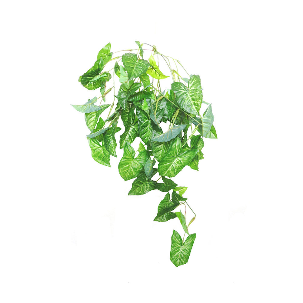 Introducing the Arrowhead Hanging, a stunningly realistic full plant with masses of well-formed leaves for a cascading effect. Comes with 84CML and 9 stems with off shoots, totaling 82 leaves. A perfect addition to any space for a natural and elegant touch- UNIQUE INTERIORS