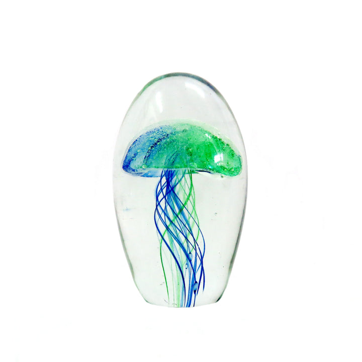 Nemo 12cm: A Glowing Glass Masterpiece
Make a statement in your home with the Nemo 12cm, a breathtaking glass dome art piece expertly handcrafted with a vibrant bi-colour jellyfish design in bright blue and green. Measuring 12.5cm in height and 23.5cm in circumference, this stunning piece is sure to captivate.