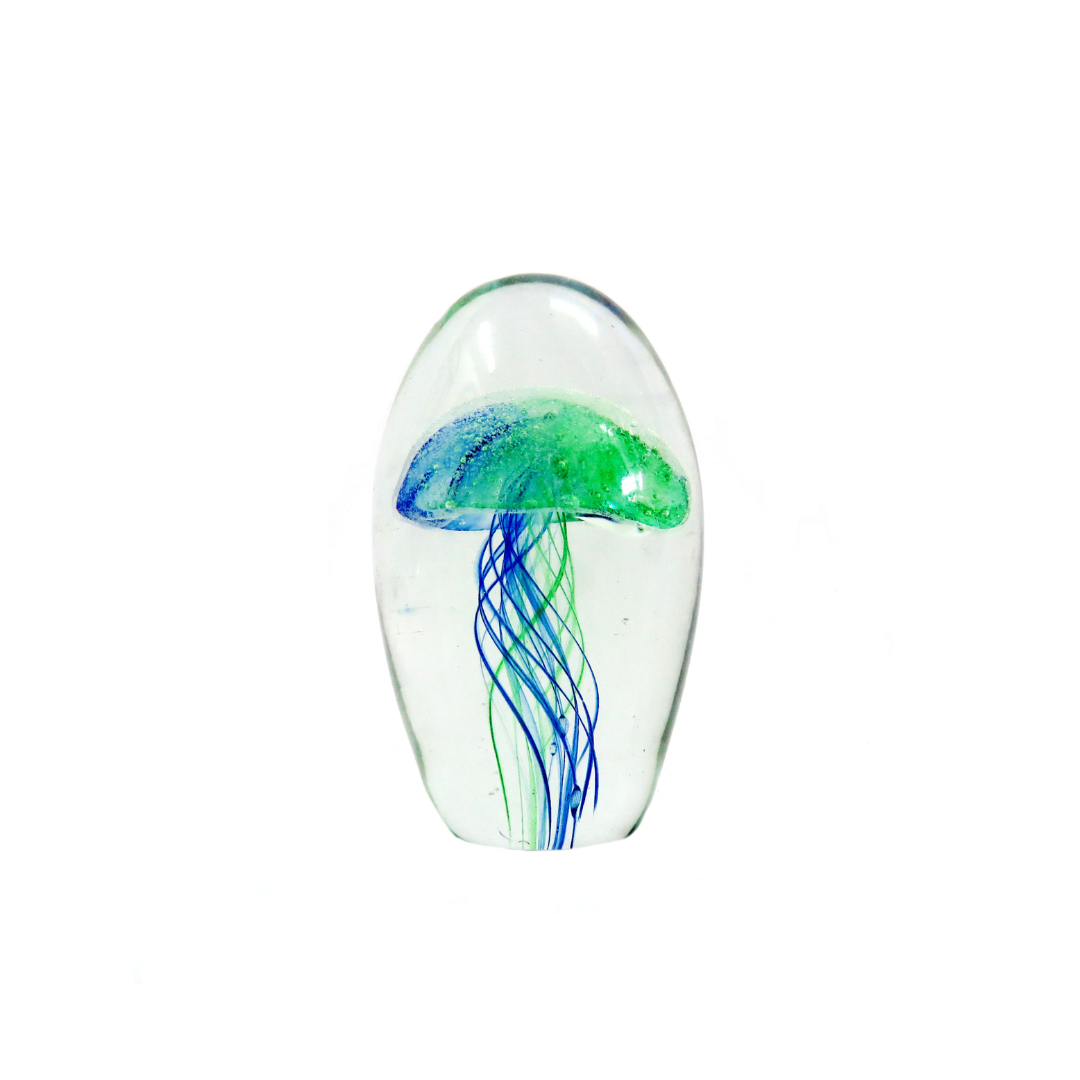 Nemo 12cm: A Glowing Glass Masterpiece
Make a statement in your home with the Nemo 12cm, a breathtaking glass dome art piece expertly handcrafted with a vibrant bi-colour jellyfish design in bright blue and green. Measuring 12.5cm in height and 23.5cm in circumference, this stunning piece is sure to captivate.