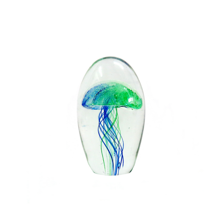 Nemo 12cm: A Glowing Glass Masterpiece
Make a statement in your home with the Nemo 12cm, a breathtaking glass dome art piece expertly handcrafted with a vibrant bi-colour jellyfish design in bright blue and green. Measuring 12.5cm in height and 23.5cm in circumference, this stunning piece is sure to captivate.