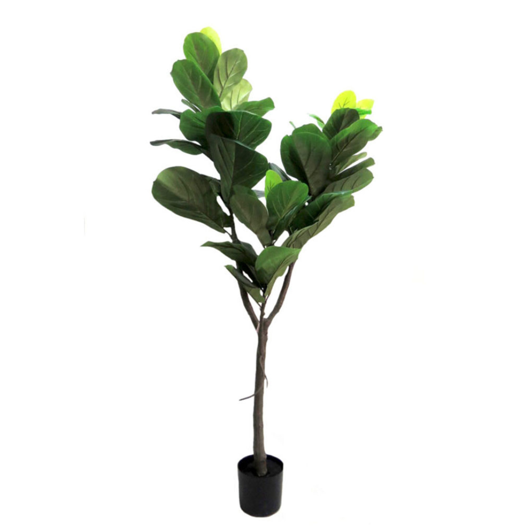 Fiddle Tree Artificial Plant
Make a statement with the majestic 150cm Fiddle Tree artificial plant. This stunning piece features a sturdy central trunk, a intricate network of branches, and a lush canopy of perfectly colored leaves in varying sizes, creating an impressively realistic appearance. Presented in a sleek black pot, this beautiful Fiddle Tree is perfect for adding a touch of natural elegance to any home or office.
Details
Size: 150cm height
Material: High-quality artificial plants for a remarkabl