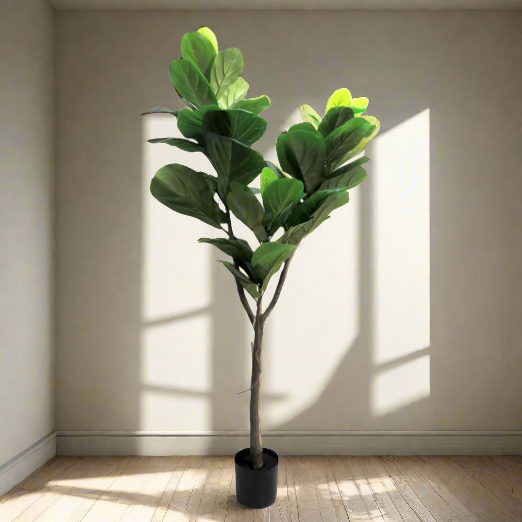 Fiddle Tree Artificial Plant
Make a statement with the majestic 150cm Fiddle Tree artificial plant. This stunning piece features a sturdy central trunk, a intricate network of branches, and a lush canopy of perfectly colored leaves in varying sizes, creating an impressively realistic appearance. Presented in a sleek black pot, this beautiful Fiddle Tree is perfect for adding a touch of natural elegance to any home or office.
Details
Size: 150cm height
Material: High-quality artificial plants for a remarkabl