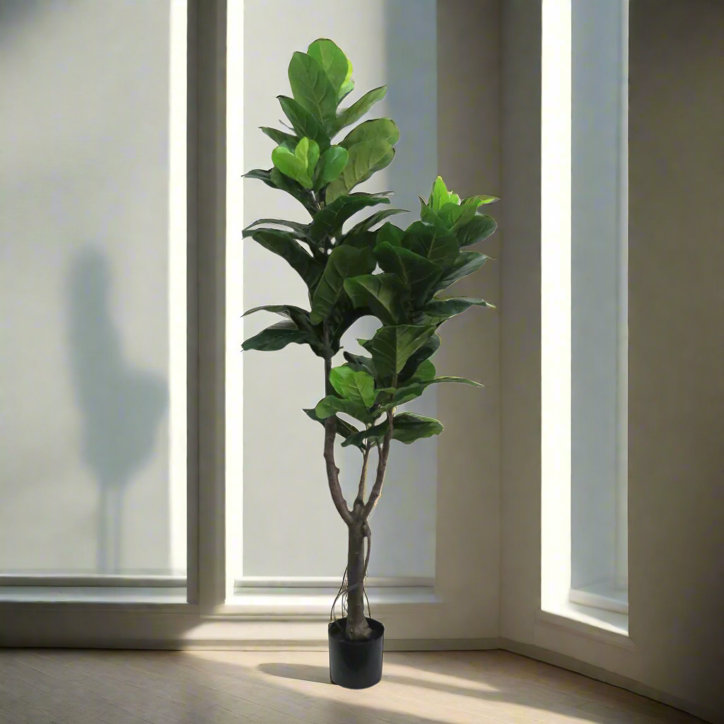 Fiddlefig Artificial Plant
Elevate your space with the majestic 180cm Fiddlefig artificial plant. As a statement piece, this impressive plant commands attention with its striking height and lush, leafy foliage. Perfect for adding a touch of natural elegance to any room, the Fiddlefig artificial plant promotes a healthy and vibrant environment while requiring minimal maintenance.
Details
Size: 180cm height
Material: High-quality artificial plants for a remarkably realistic appearance
Style: Timeless, elegant