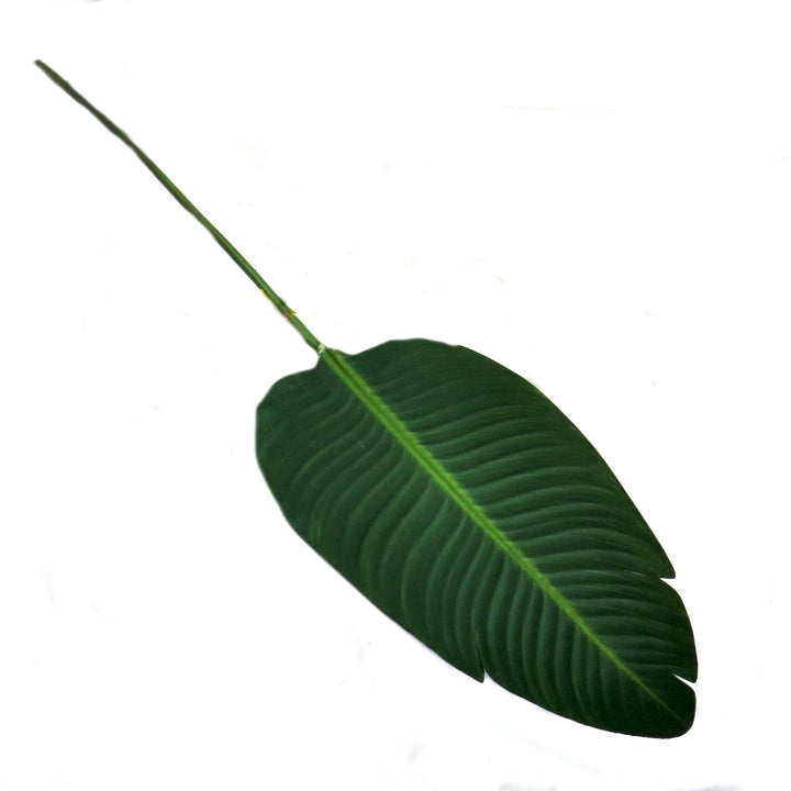 Giant Bird Of Paradise Leaf - Natural Elegance
Add a touch of natural beauty and ambiance to your space with the stunning Giant Bird Of Paradise Leaf. Measuring 91cm in length, this impressive, life-like leaf is perfect for enhancing your home or garden décor.
Key Features:
Life-Like Appearance: Highly realistic design, perfect for adding a touch of natural beauty
Durable: Made from high-quality materials for long-lasting durability
Easy to Use: Perfect for indoor or outdoor use, with no maintenance require