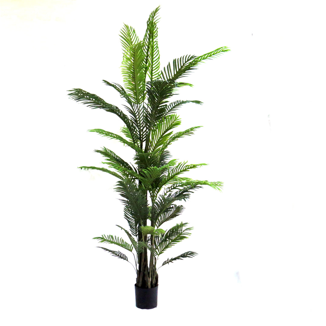 Areca Palm Magnifica
Elevate your interior space with the breathtaking Areca Palm Magnifica, expertly crafted as a stunning artificial plant.
Product Details:
Height: 230cm
Material: Premium artificial materials for long-lasting beauty
Type: Artificial Multitrunked Areca Palm Tree