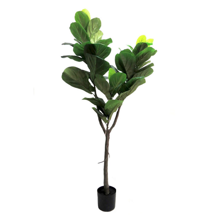 Fiddle Tree Artificial Plant
Make a statement with the majestic 150cm Fiddle Tree artificial plant. This stunning piece features a sturdy central trunk, a intricate network of branches, and a lush canopy of perfectly colored leaves in varying sizes, creating an impressively realistic appearance. Presented in a sleek black pot, this beautiful Fiddle Tree is perfect for adding a touch of natural elegance to any home or office.
Details
Size: 150cm height
Material: High-quality artificial plants for a remarkabl