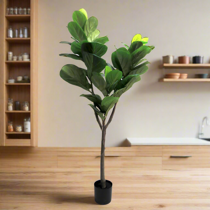 Fiddle Tree Artificial Plant
Make a statement with the majestic 150cm Fiddle Tree artificial plant. This stunning piece features a sturdy central trunk, a intricate network of branches, and a lush canopy of perfectly colored leaves in varying sizes, creating an impressively realistic appearance. Presented in a sleek black pot, this beautiful Fiddle Tree is perfect for adding a touch of natural elegance to any home or office.
Details
Size: 150cm height
Material: High-quality artificial plants for a remarkabl