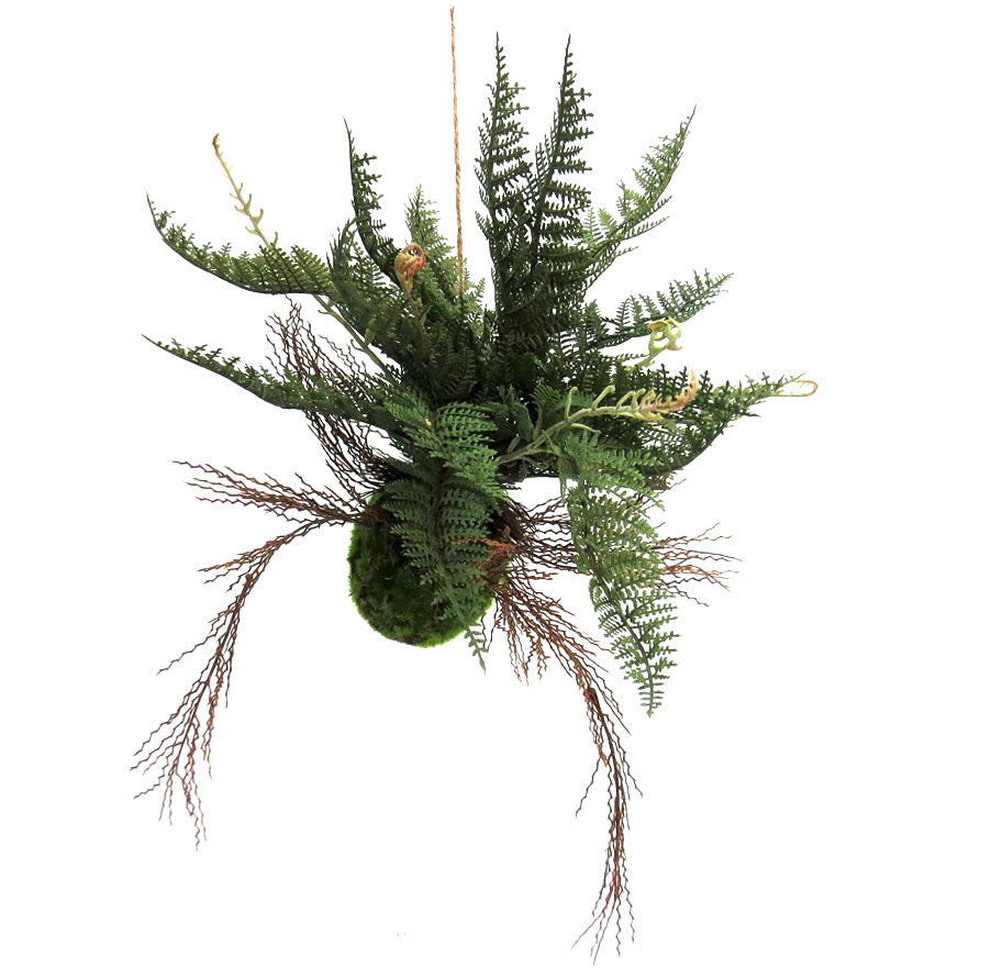 Enhance your indoor garden with the Fern Ball Majesty. This unique fern grows in a dense mossy ball with visible roots, showcasing its multiple branches and various stages of development. The full lichen-like plant comes with a jute hanger for easy display. Elevate your space with this beautiful, scientific wonder- UNIQUE INTERIORS