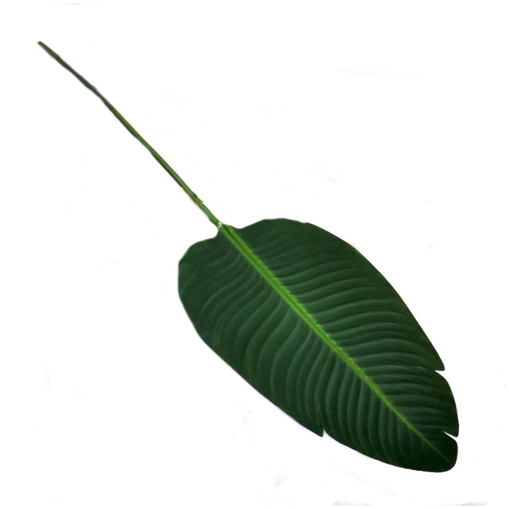 Giant Bird Of Paradise Leaf - Natural Elegance
Add a touch of natural beauty and ambiance to your space with the stunning Giant Bird Of Paradise Leaf. Measuring 91cm in length, this impressive, life-like leaf is perfect for enhancing your home or garden décor.
Key Features:
Life-Like Appearance: Highly realistic design, perfect for adding a touch of natural beauty
Durable: Made from high-quality materials for long-lasting durability
Easy to Use: Perfect for indoor or outdoor use, with no maintenance require