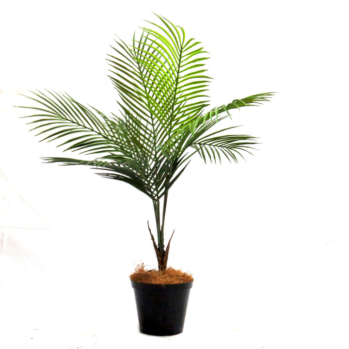 Get a taste of the tropics with Palmalicious. This lovely little palm tree stands at 74cm and comes firmly potted in a well-weighted pot. With a 65cm frond span and interesting lower trunk detail, this quality and colorful plant is the perfect addition to any space-UNIQUE INTERIORS