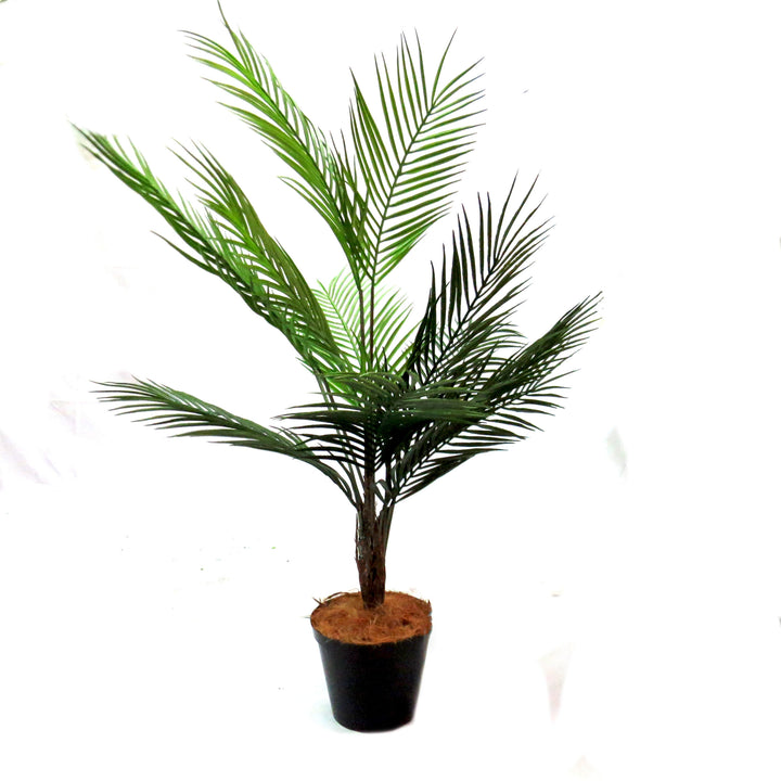 Discover the beauty of the Palm Pinnaculata, standing at 85cm tall with an impressive 70cm span at its widest point. Its unique trunk details and vividly colored fronds make it a standout piece. Expertly potted in a sturdy and weighted container, this high-quality palm tree adds a touch of elegance to any space-UNIQUE INTERIORS