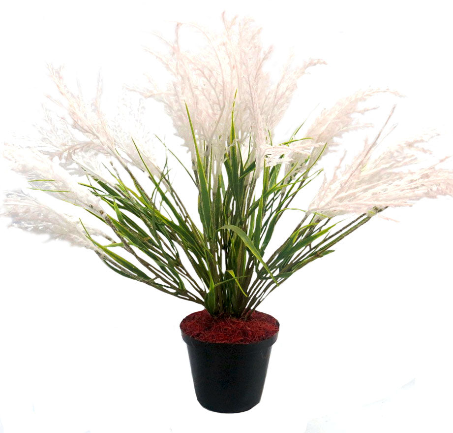 Expertly crafted, the Kapok Reed Plant stands at 49cm in height with a 55cm width. The artificial plant comes in a pot measuring 13cm in diameter and 10cm in height. Create a lifelike atmosphere with this stunning addition to your space-UNIQUE INTERIORS