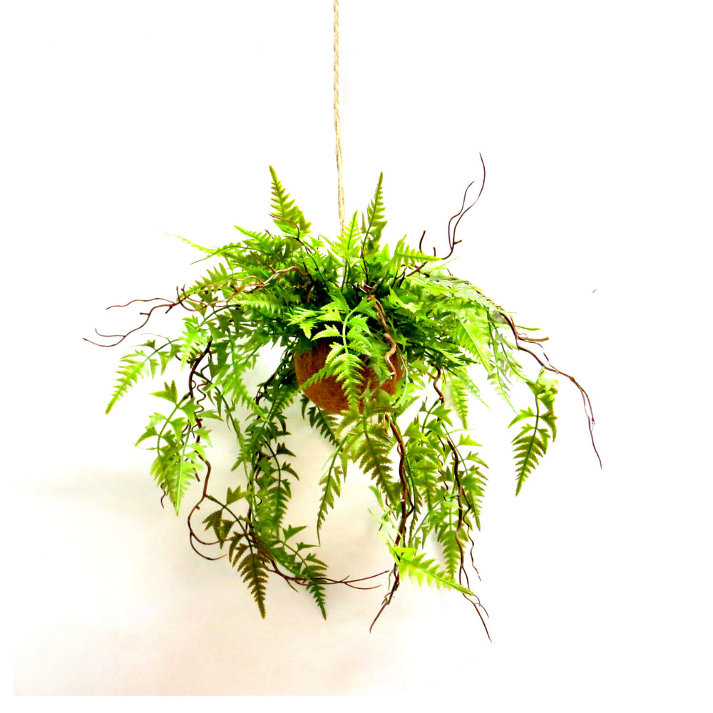 Overture Fern Ball is an artificial fern ball that brings the beauty of nature into your home or office without the hassle of maintenance. Crafted with lifelike textures and rich green hues, it adds a touch of natural charm to any space. Enjoy the benefits of greenery without the upkeep-unique interiors