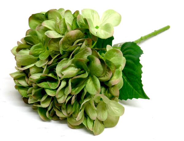 Hydrangea Greenshade by Unique Boys
Add a touch of natural elegance to your space with our stunning Hydrangea Greenshade artificial flowers, expertly crafted to capture the beauty of real blooms.
Breathtaking Details