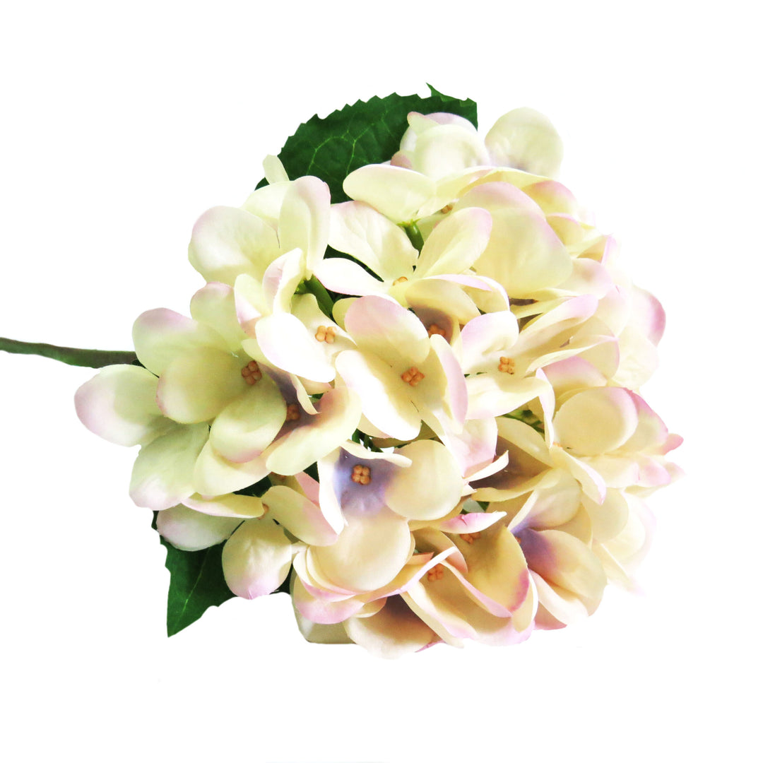 Hydrangea Pastel Perfection by Unique Boys
Experience the elegance of our Hydrangea Pastel Perfection artificial flowers, expertly crafted to capture the beauty of real blooms.
Breathtaking Details