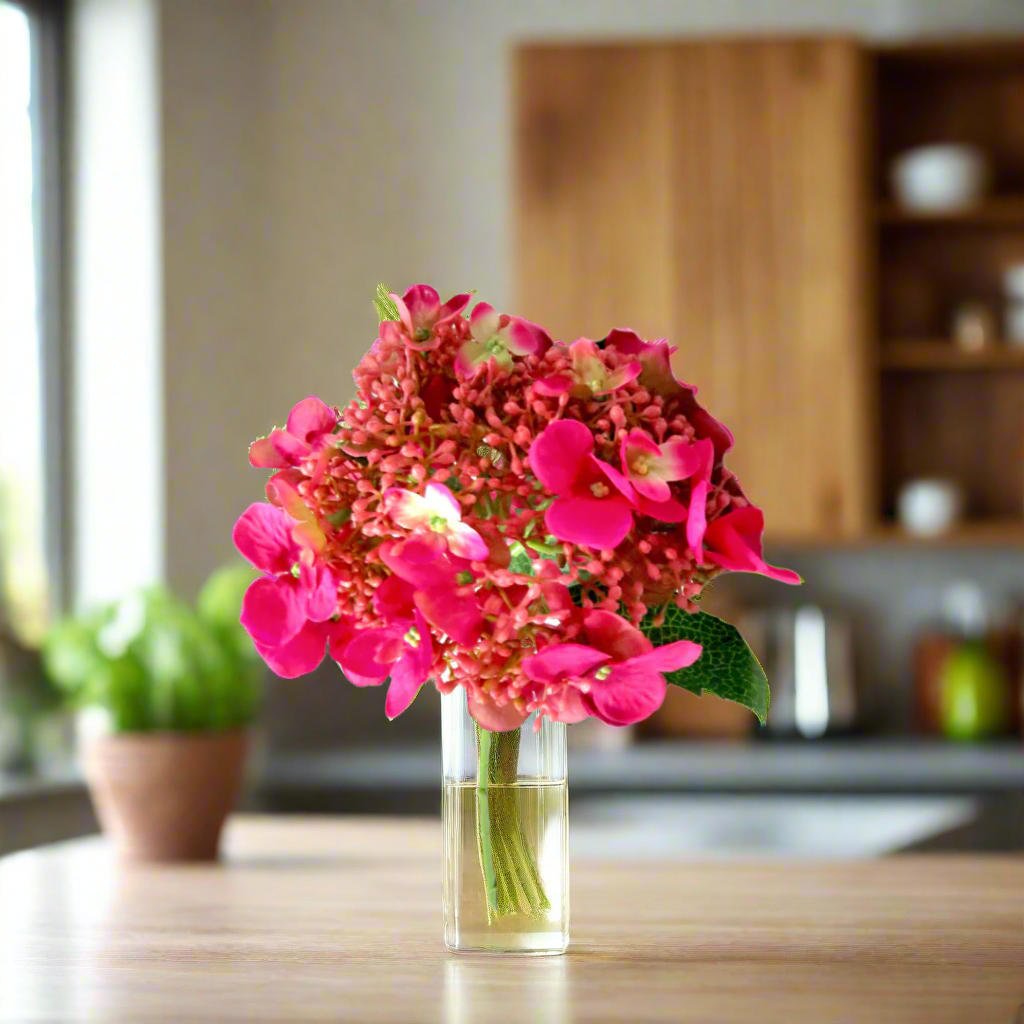 Hydrangea Beauty