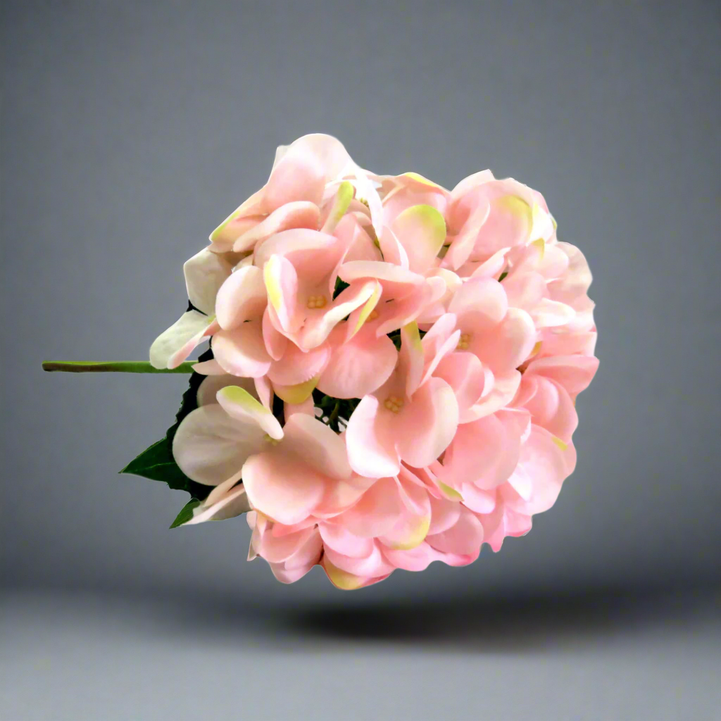 Hydrangea Bottichelli by Unique Boys
Experience the elegance of our Hydrangea Bottichelli artificial flowers, expertly crafted to capture the beauty of real blooms.
Breathtaking Details